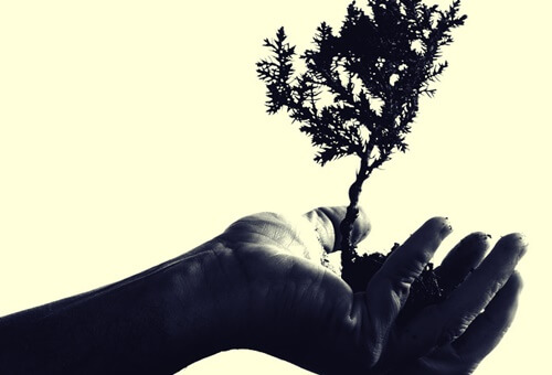 Mano con árbol