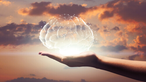 Nuestro cerebro arcaico está desfasado para el mundo actual