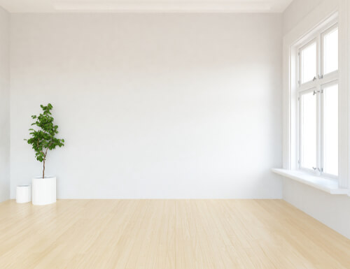 Planta en una habitación vacía para representar la zona blanca del hogar