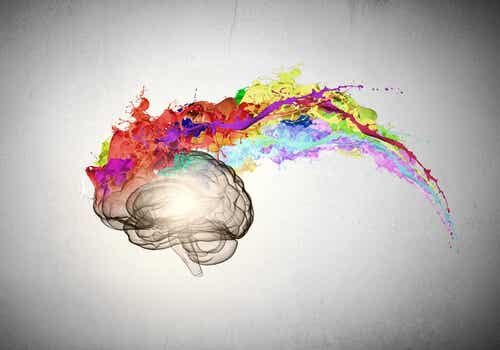 Cerebro con ráfaga de colores