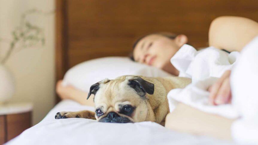Chica con su perro representando el dormir con nuestras mascotas