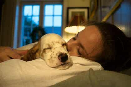 ¿Dormir con nuestras mascotas proporciona seguridad y bienestar?