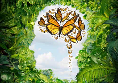 Mente con mariposas simbolizando la ecpatía