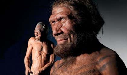 Los neandertales tenían sentido de la compasión y cuidaban de los suyos
