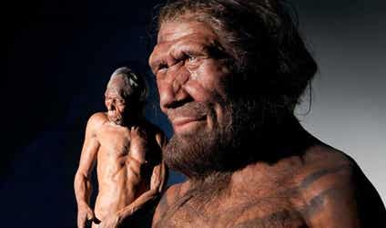 Los neandertales tenían sentido de la compasión y cuidaban de los suyos