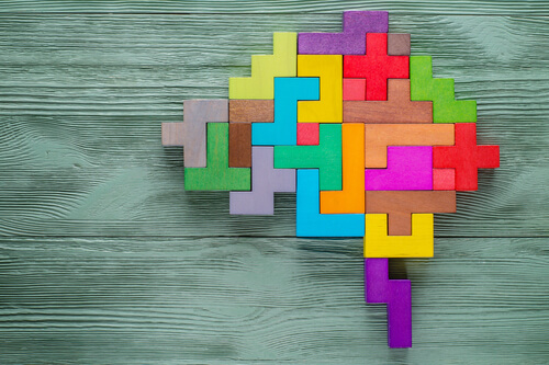 Puzzle de un cerebro de colores