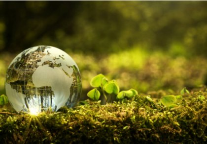 ¿Cómo puedo contribuir a mejorar el medio ambiente en mi comunidad?