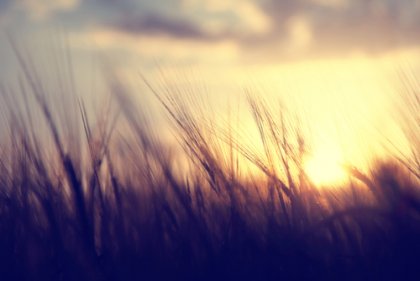 71 frases de Khalil Gibran para reflexionar