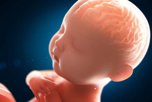 ¿Cómo es la mente de un bebé?