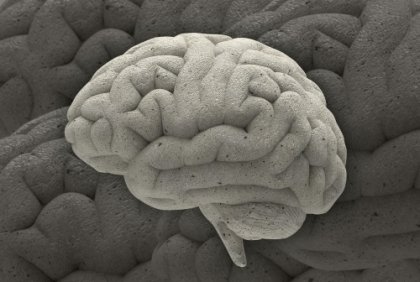 Tres fascinantes casos de la neurociencia