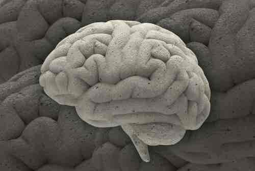Tres fascinantes casos de la neurociencia