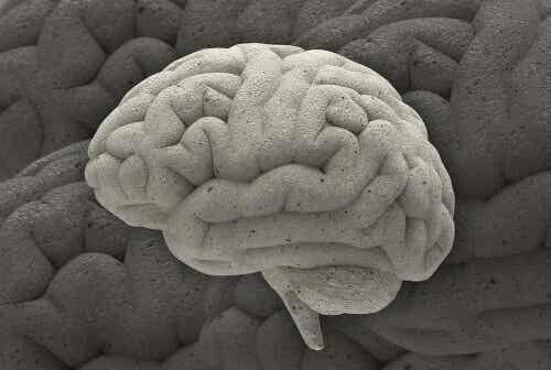 Cerebro de piedra simbolizando la adversidad crónica