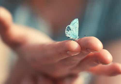 Mano con una mariposa representando la necesidad de vivir en paz contigo mismi
