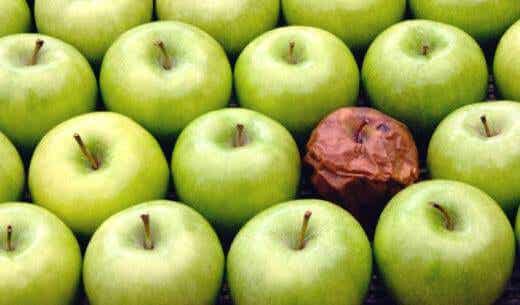 La teoría de la manzana podrida: el efecto del mal compañero de trabajo