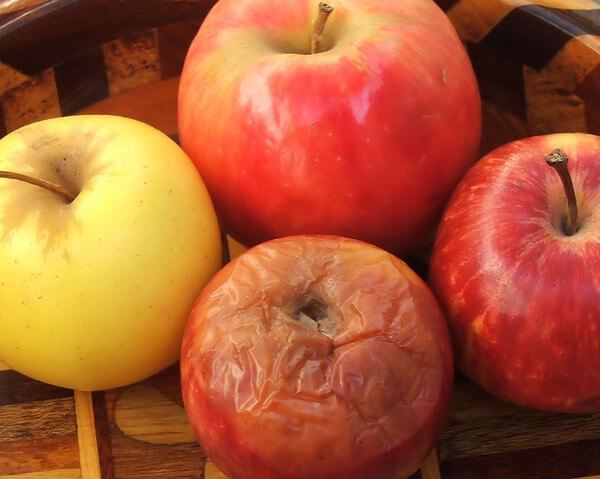 Manzana podrida