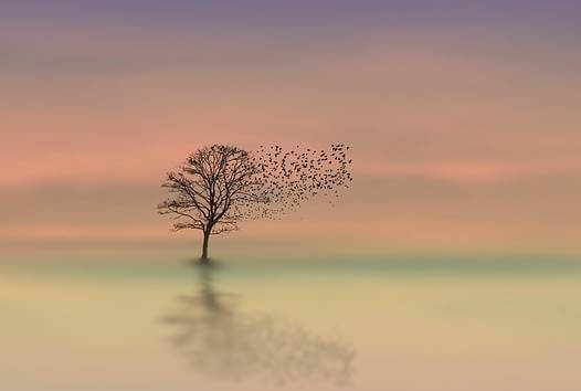 Árbol con pájaros
