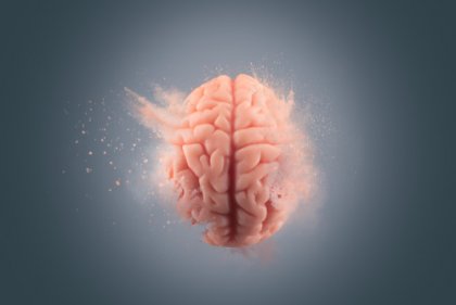 Los efectos de la cocaína en el cerebro