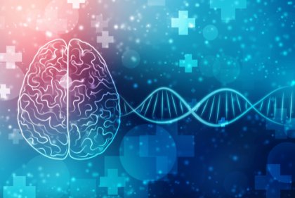 En qué consiste la genética conductual