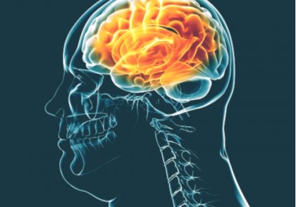 Funciones ejecutivas y obesidad: más que fuerza de voluntad