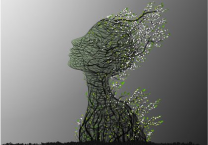 Test de psicología del árbol