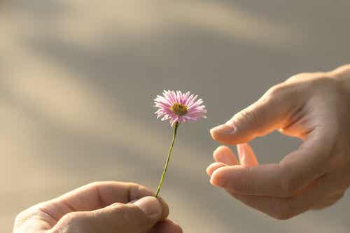 Persona dando una flor a otra para representar la Neurobiología de la compasión