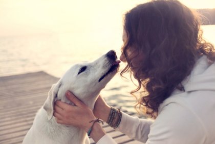 Lo que hay en el corazón de un perro cuando ve a su dueño