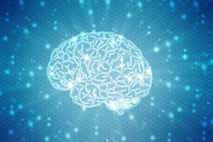 Los interesantes experimentos de Marian Diamond sobre plasticidad cerebral