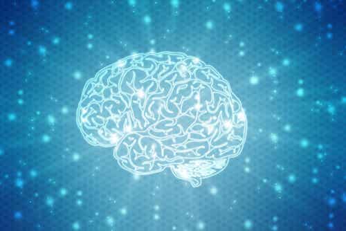 ¿Qué son los neuromitos?