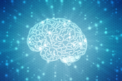 Cerebro
