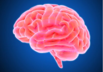 La falta de oxígeno en el cerebro