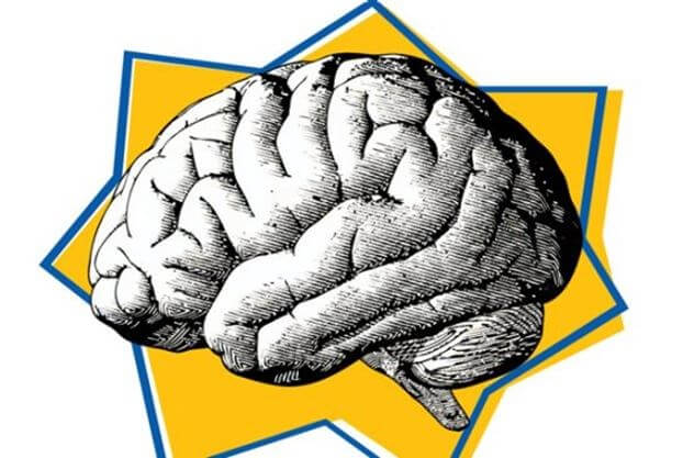 cerebro representando la psicología del Black Friday