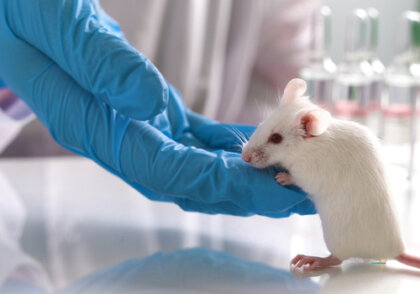 ¿Qué ocurre con la experimentación con animales?