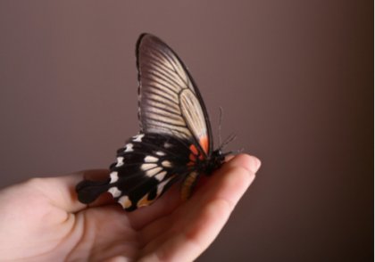 Razones y caminos para desarrollar la paciencia