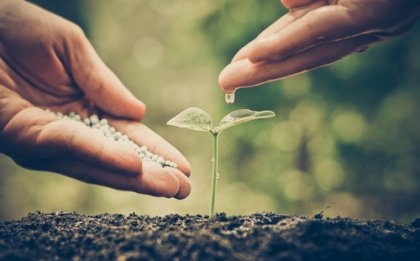 Cuáles son los valores ambientales