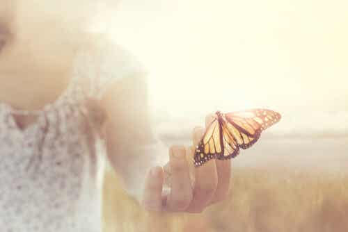 Mariposa en una mano