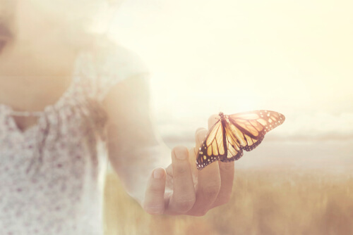 Mariposa en una mano
