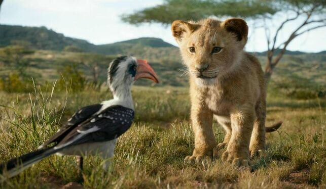 Simba y Zazú