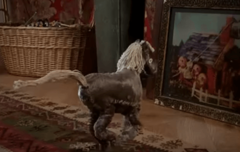 Caballo de peluche andando