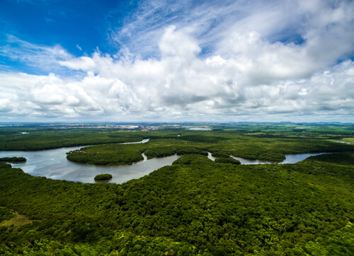 Amazonia