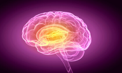 El cerebro también late