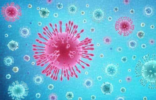 Coronavirus o neumonía de Wuhan: ¿qué es lo que debo saber?