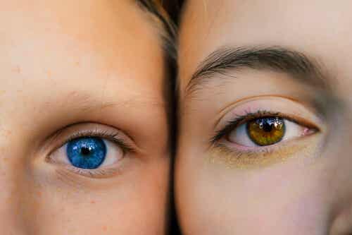 La relación entre el color de los ojos y la personalidad, según un estudio