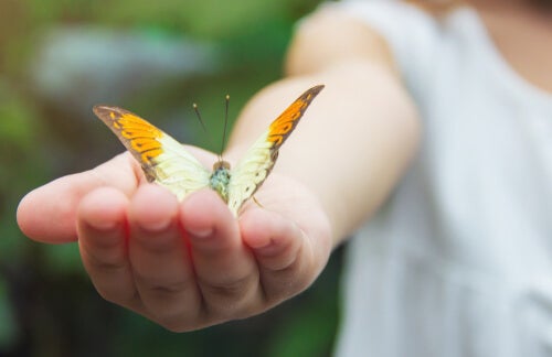 Mariposa en la mano de una mujer para representar la Neurobiología de la esperanza