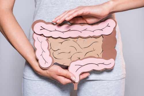 La digestión mental: clave en los problemas intestinales