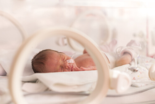 Neonato en una incubadora
