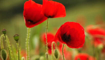 El síndrome de alta exposición en el trabajo, una realidad muy común