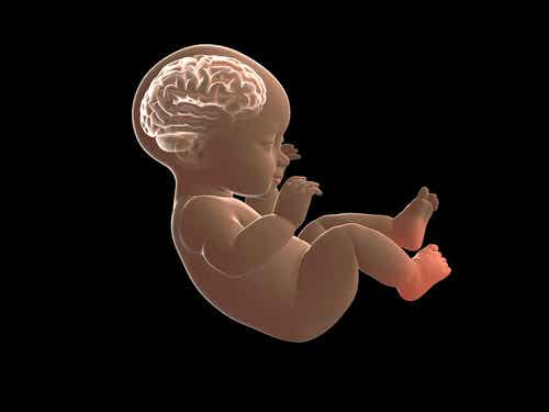 Bebé con el cerebro iluminado