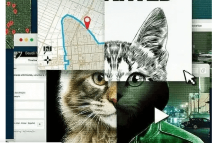 "A los gatos, ni tocarlos. Un asesino en Internet": lo oscuro de la red