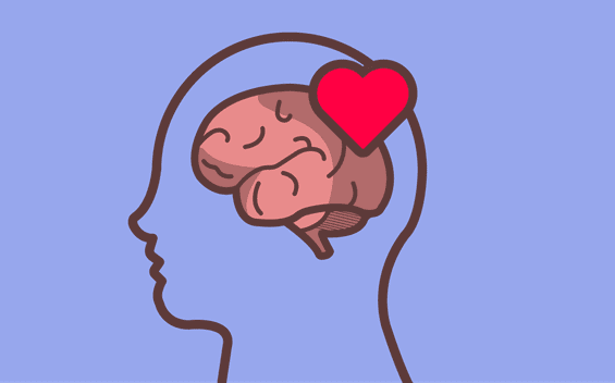 Corazón sobre el cerebro de una persona