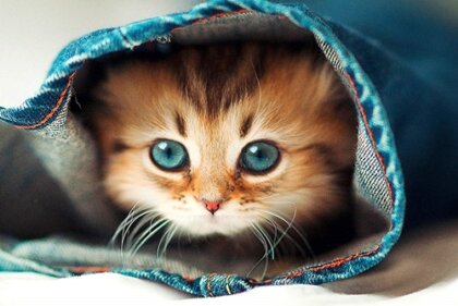 La psicología de la ternura, una emoción reconfortante